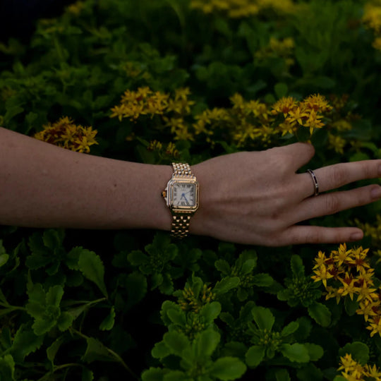 van Baerle® Calista